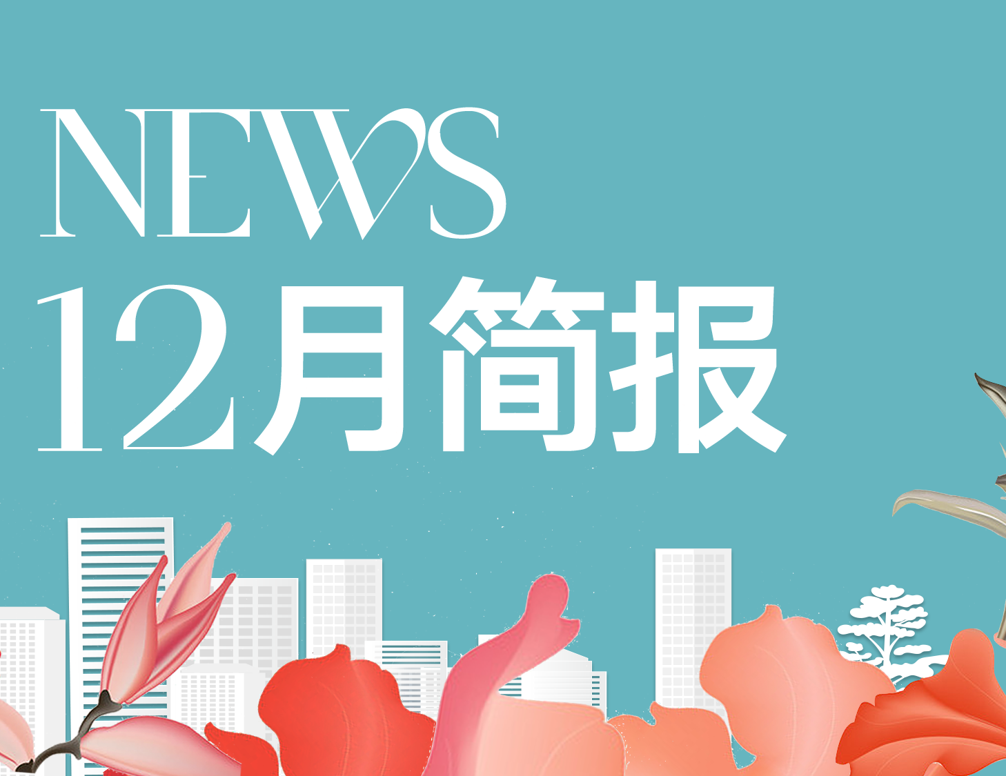 建发房产｜12月简报